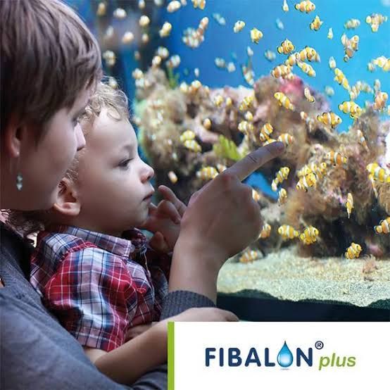 FIBALON plus — 맑고 투명한 수족관에서 물고기를 바라보는 어린이와 엄마
