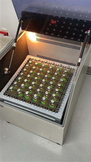 Lab sample incubator at 38.9°C